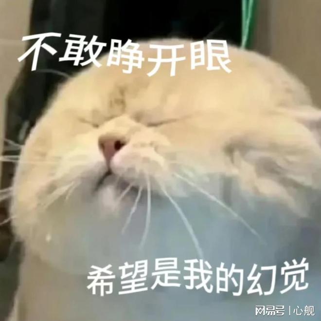局5大产品差异化技巧全面拆解MG不朽情缘正版“价格战”破(图5)