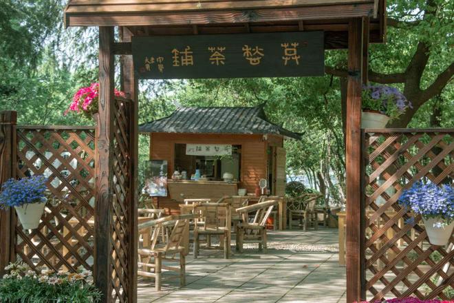 “南哥”官宣：免费！不朽情缘游戏网站登录(图3)